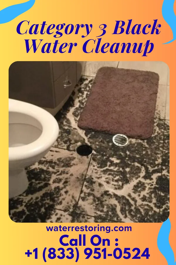 Category 3 Black Water Cleanup in Cascade, WI