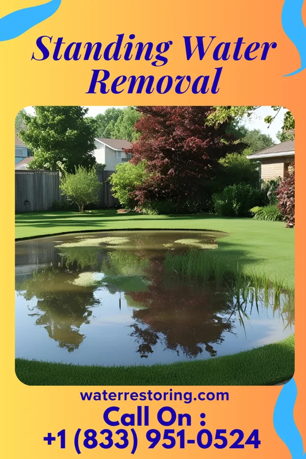Standing Water Removal in Cascade, WI